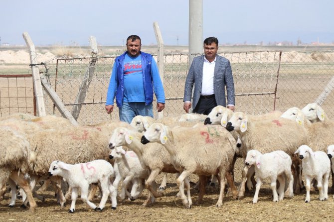 Korona virüs fırsatçılarının yem fiyatlarında yaptığı fahiş artışa tepki