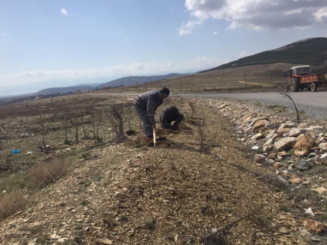 Hüyük Belediyesi’nin bahar dönemi çalışmaları hız kazandı