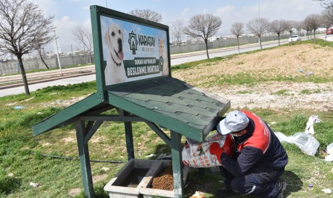 Karatay’da sokak hayvanları unutulmuyor