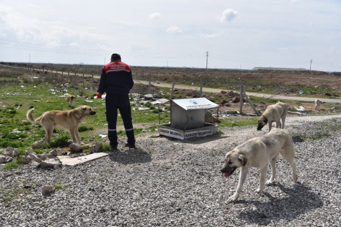 Karatay’da sokak hayvanları unutulmuyor