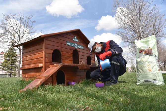 Karatay’da sokak hayvanları unutulmuyor