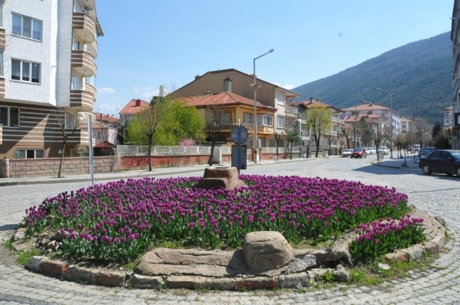 Akşehir lalelerle renklendi