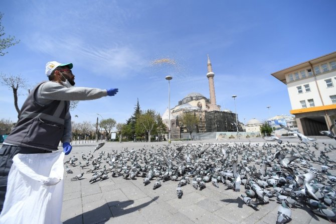 Sokağa çıkma kısıtlamasında sokak hayvanları unutulmuyor