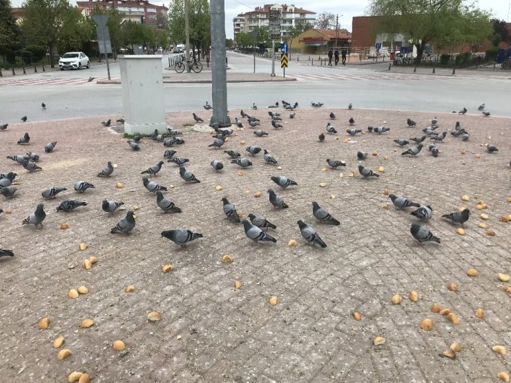 Trafik polisinin davranışı yürekleri ısıttı