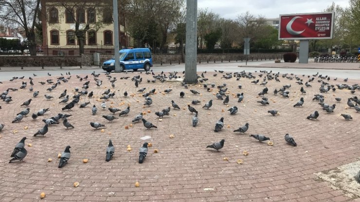 Trafik polisinin davranışı yürekleri ısıttı