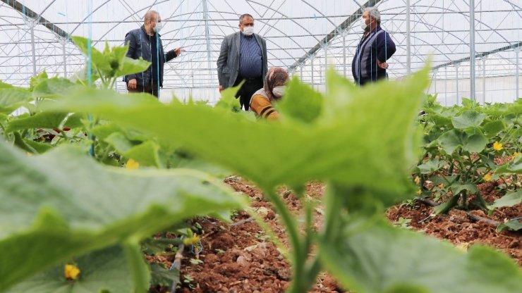 Aksaray’da tarımsal üretim sürüyor