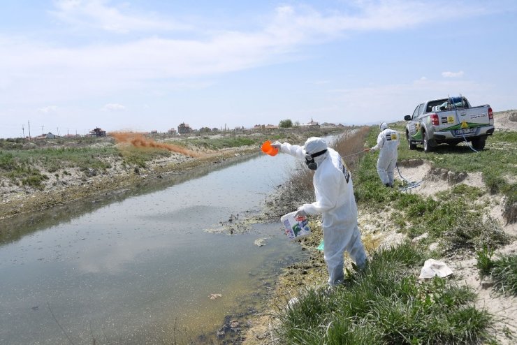 Büyükşehir 31 ilçede haşereyle mücadele çalışması yapıyor