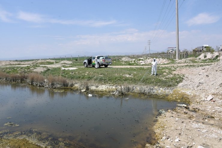 Büyükşehir 31 ilçede haşereyle mücadele çalışması yapıyor