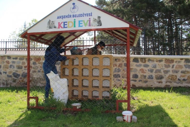 Akşehir’de sokak hayvanları unutulmuyor