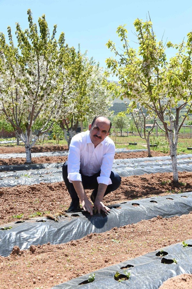 Başkan Altay: “Tarımsal üretim stratejik öneme sahip”