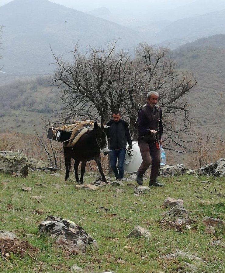 Gidemedikleri köylerine kamera yerleştirip özlem gideriyorlar