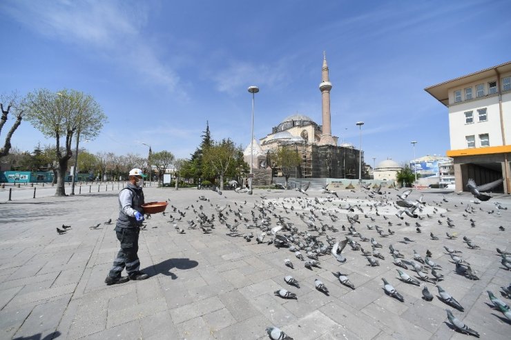 Konya’da sokak hayvanları bayramda da yalnız bırakılmadı