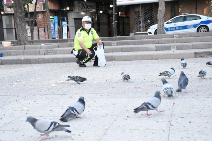 Aç kalan kuşları polis yemledi