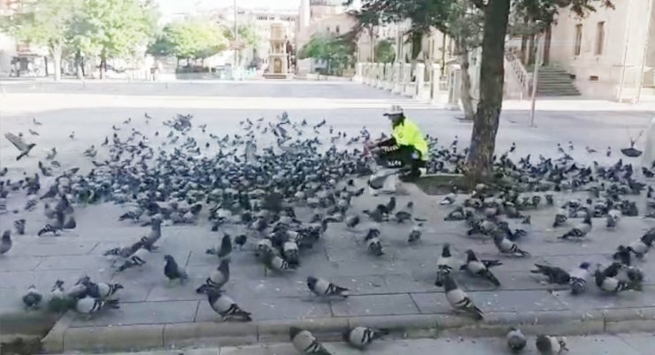 Aç kalan kuşları polis yemledi