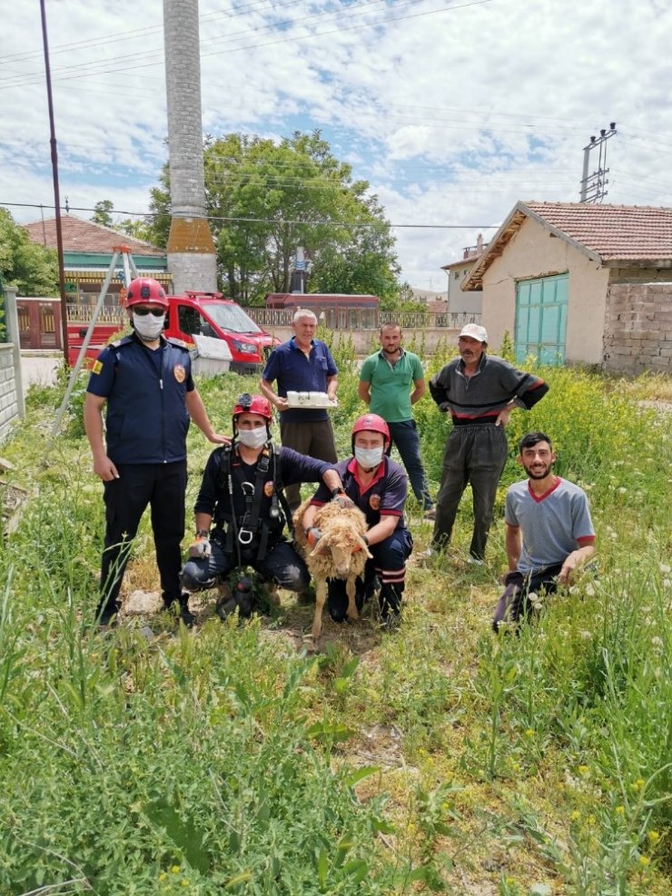 Kuyuya düşen kuzu kurtarıldı