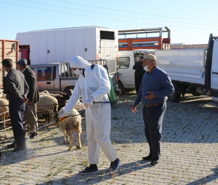 Ereğli hayvan pazarı dezenfekte çalışmalarının ardından kapılarını açtı