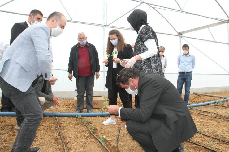 Hüyük’te seracılık gelişiyor