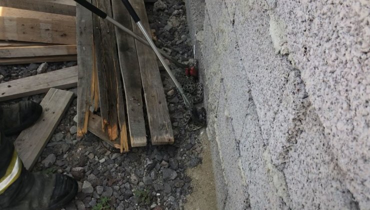 Elektrik üretim tesisindeki yılanı itfaiye yakalayıp doğaya bıraktı