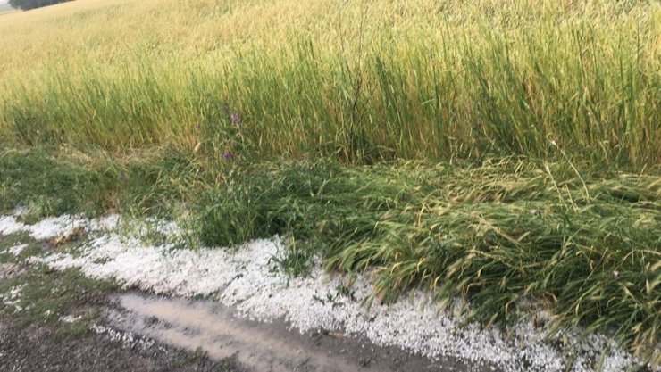 Konya’da dolu yağışı zarara yol açtı