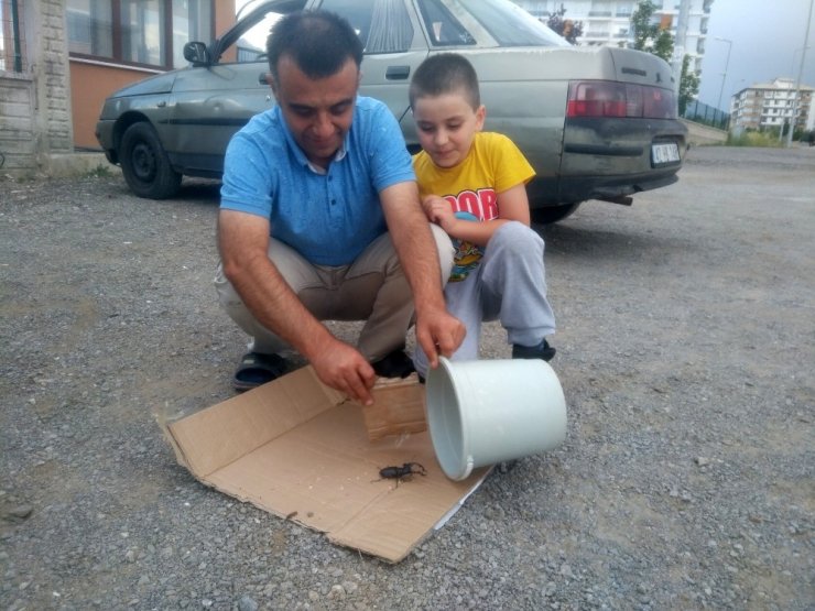 Konya’da koruma altındaki 