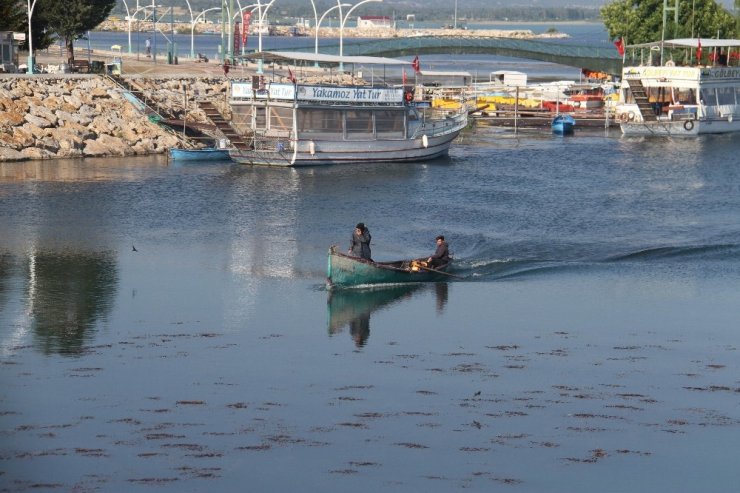 Beyşehir Gölü’nde balık av yasağı sona eriyor