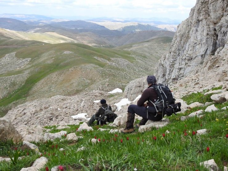 Dolamaç Kepiri Dağı’na tırmanan dağcılar doğal güzellikleri fotoğrafladı