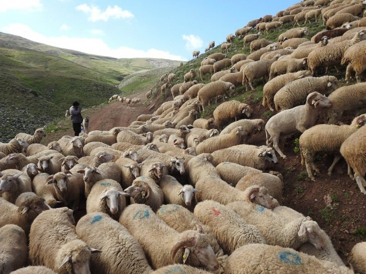 Dolamaç Kepiri Dağı’na tırmanan dağcılar doğal güzellikleri fotoğrafladı