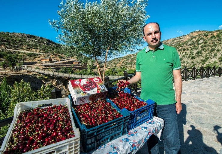 Başkan Altay: "Konya, Türkiye’nin gıda güvenliğini sağlıyor"