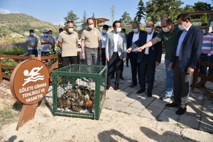 Sille Barajı göçmen kuşlara ev sahipliği yapıyor