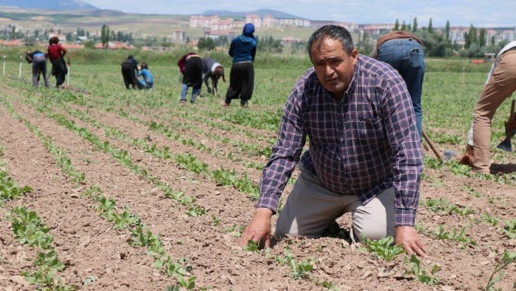 Başkan Koçak: “Tarım işçileri olmazsa tarım olmaz”