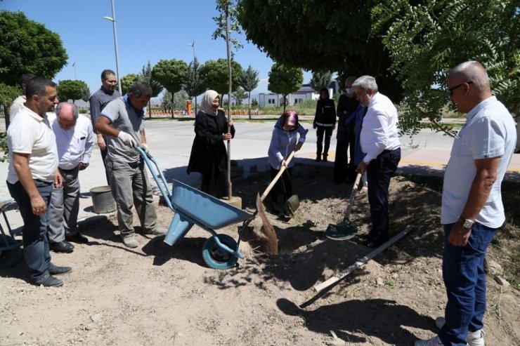 Rektör Şahin, mezuniyet hatırası olarak öğrencilerle fidan dikti