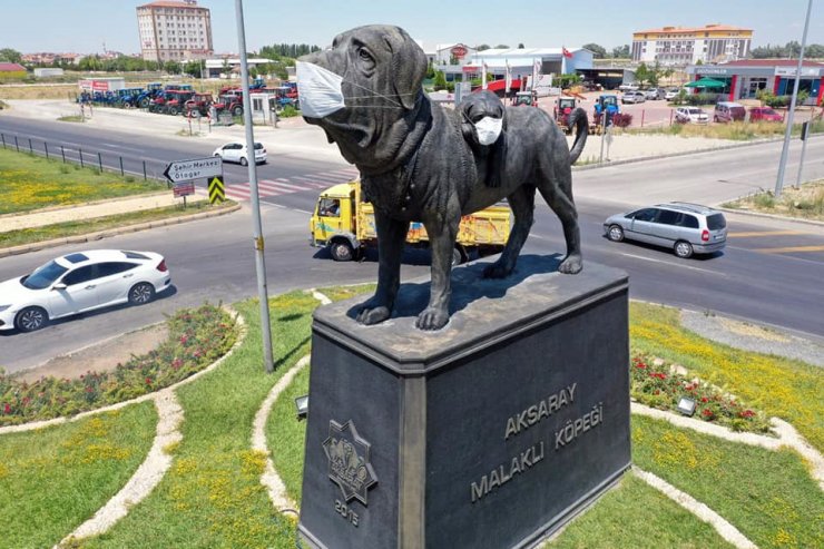 Aksaray’da farkındalık için köpek heykeline maske takıldı