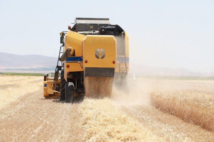 Başkan Altay, Altınekin’de çiftçilerin hasadına eşlik etti