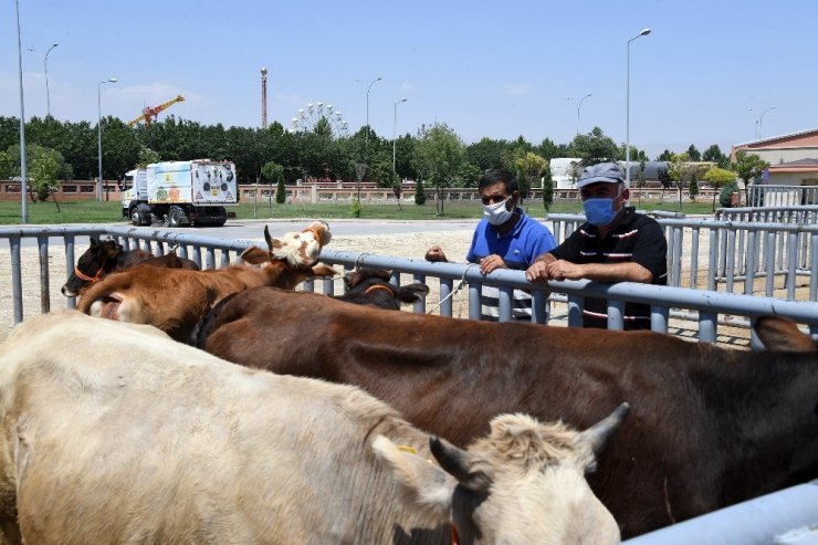 Konya’da kurbanlık satışları güvenle yapılıyor