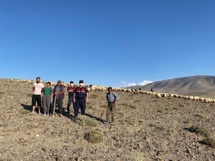 Kaybolan 300 koyunluk sürüyü jandarma droneyle buldu