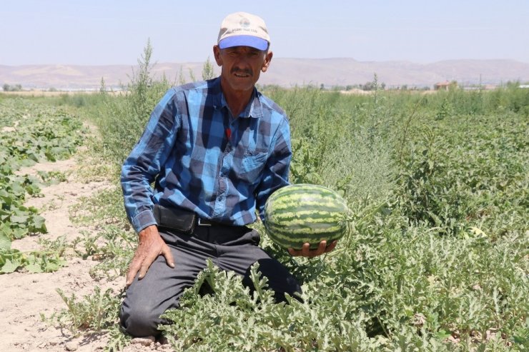 Olmaz denilen çorak topraklarda organik kavun karpuz yetiştirdiler