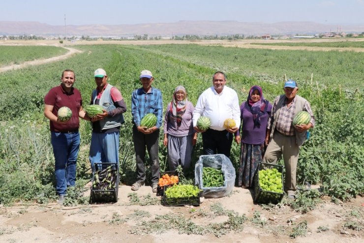 Olmaz denilen çorak topraklarda organik kavun karpuz yetiştirdiler