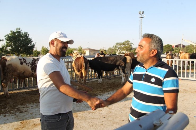 Konya’da kurban pazarında pandemi sakinliği