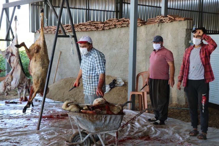 Kurbanlık koyunlar maske takılarak kurban edildi