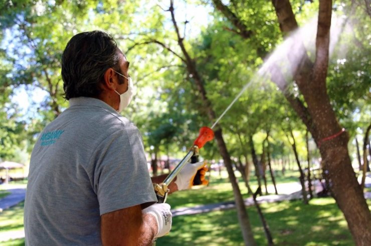 Aksaray’da haşere ile mücadelesi devam ediyor