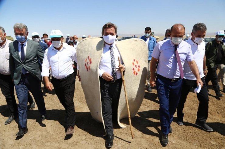 Aksaray’da koyun sürüsüne koç katımı yapıldı