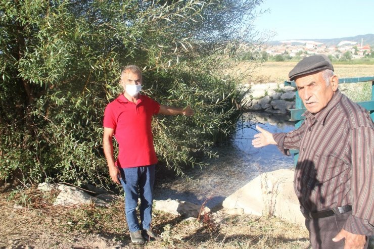 Konya’da göle dökülen akarsuda esrarengiz balık ölümleri tedirgin ediyor