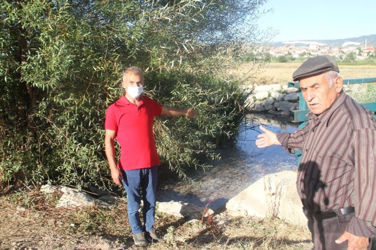 Konya’da balık ölümlerinin sebebi belli oldu