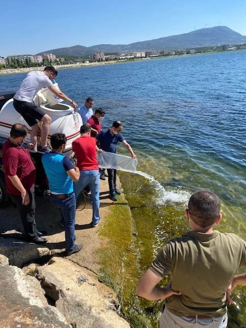 Beyşehir Gölü ve göletlere yavru balık takviyesi