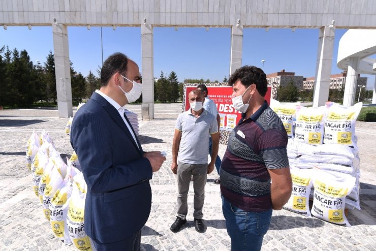 Konya Büyükşehir’den çiftçiye Macar fiği tohumu desteği