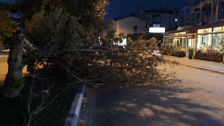 Konya’da fırtına ağaçların dallarını kırıp yola savurdu