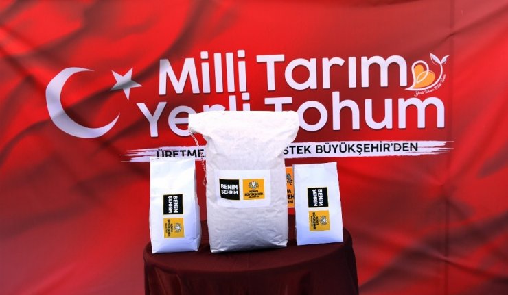 Konya’da yerli ve milli susamların ilk hasadı yapıldı