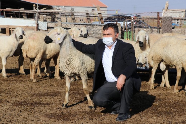 Aksaray’da "Köyümde Yaşamak İçin Bir ’Sürü’ Nedenim Var" Projesi başladı