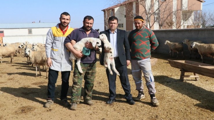 Aksaray’da "Köyümde Yaşamak İçin Bir ’Sürü’ Nedenim Var" Projesi başladı