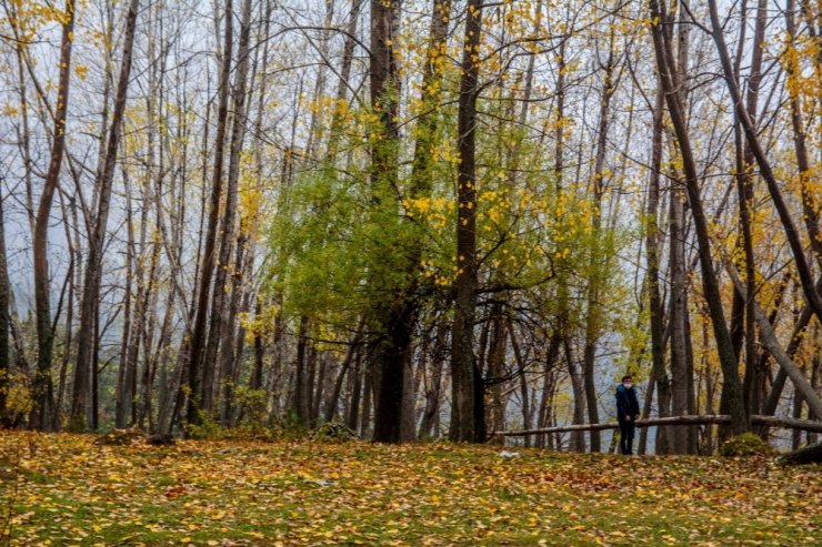 Beyşehir Gölü Milli Parkı sonbaharda doğa tutkunlarını hayran bırakıyor